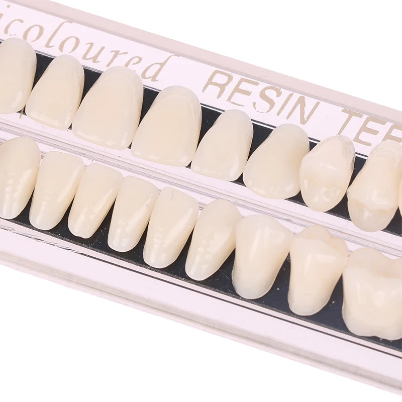 Dentes de Estoque Premium (56 peças)