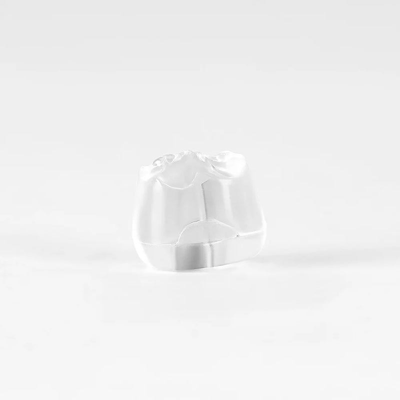 Carimbo Dental Posterior